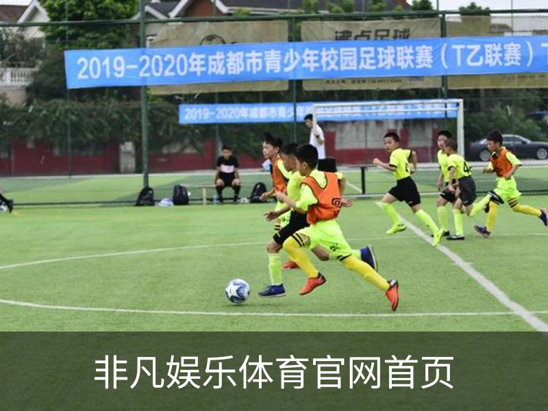 非凡娱乐体育官网首页概况